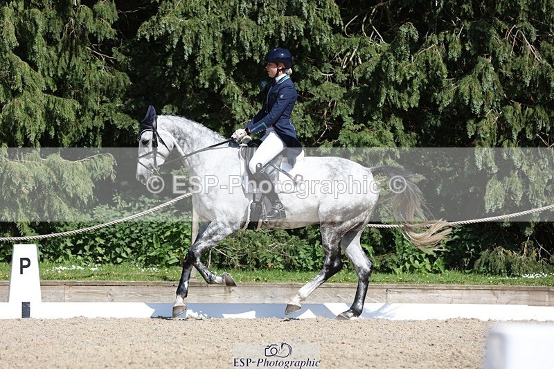 230526-160019-07729 - 167-COR_Y_TARAN-Toots_Bartlett-WEDTrotUp+DR