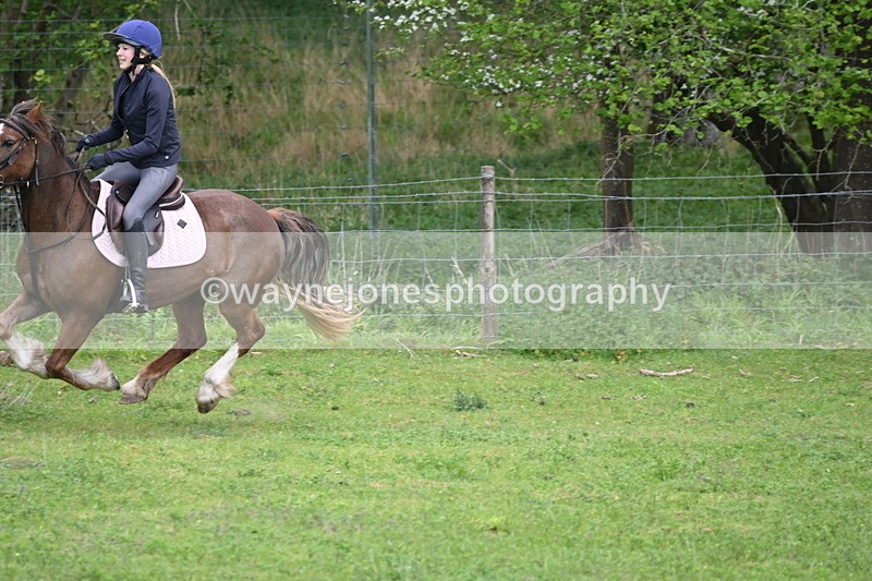 WJ6_3386 - A camera