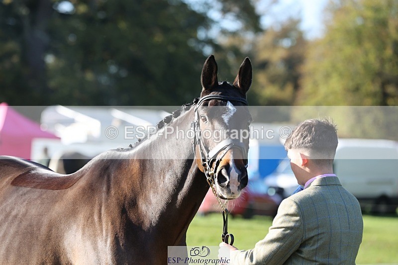 241027-100736-15706 - 406-Harvey.Crocker-THE.NIGHT.TRAVELLER