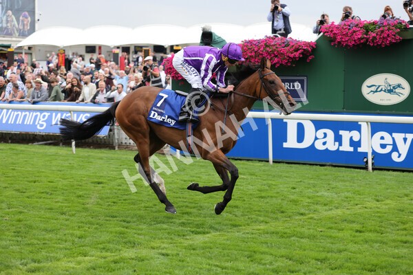 yr19082021r4-45 - Race 4 3.35pm Darley Yorkshire Oaks (British Champions Series race)