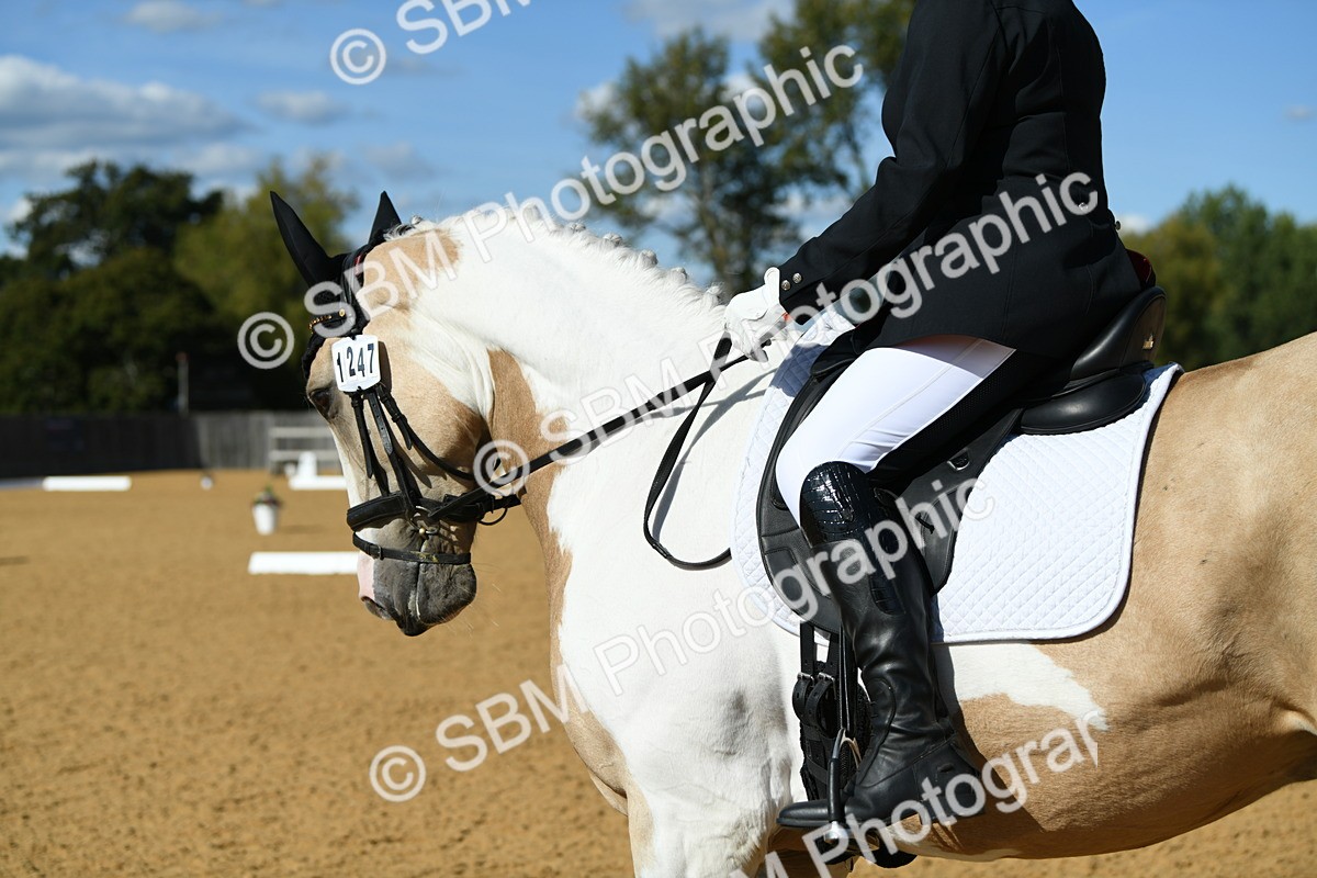 SBM_25122 - D13 - Grand Tour Championship - Prelim 12