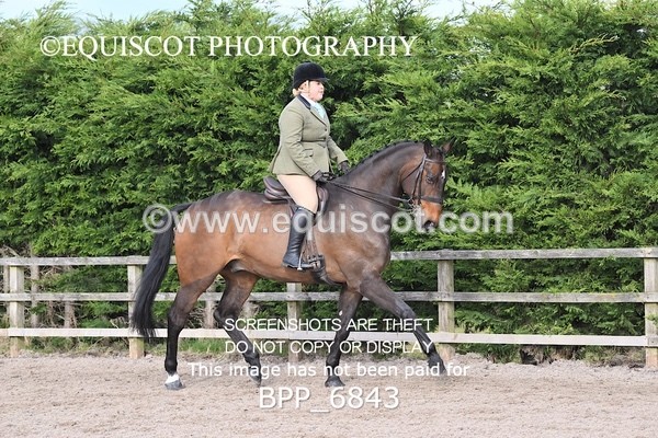 BPP_6843 - RING 1  (RIDDEN HORSES / IN HAND / VETERAN ETC)