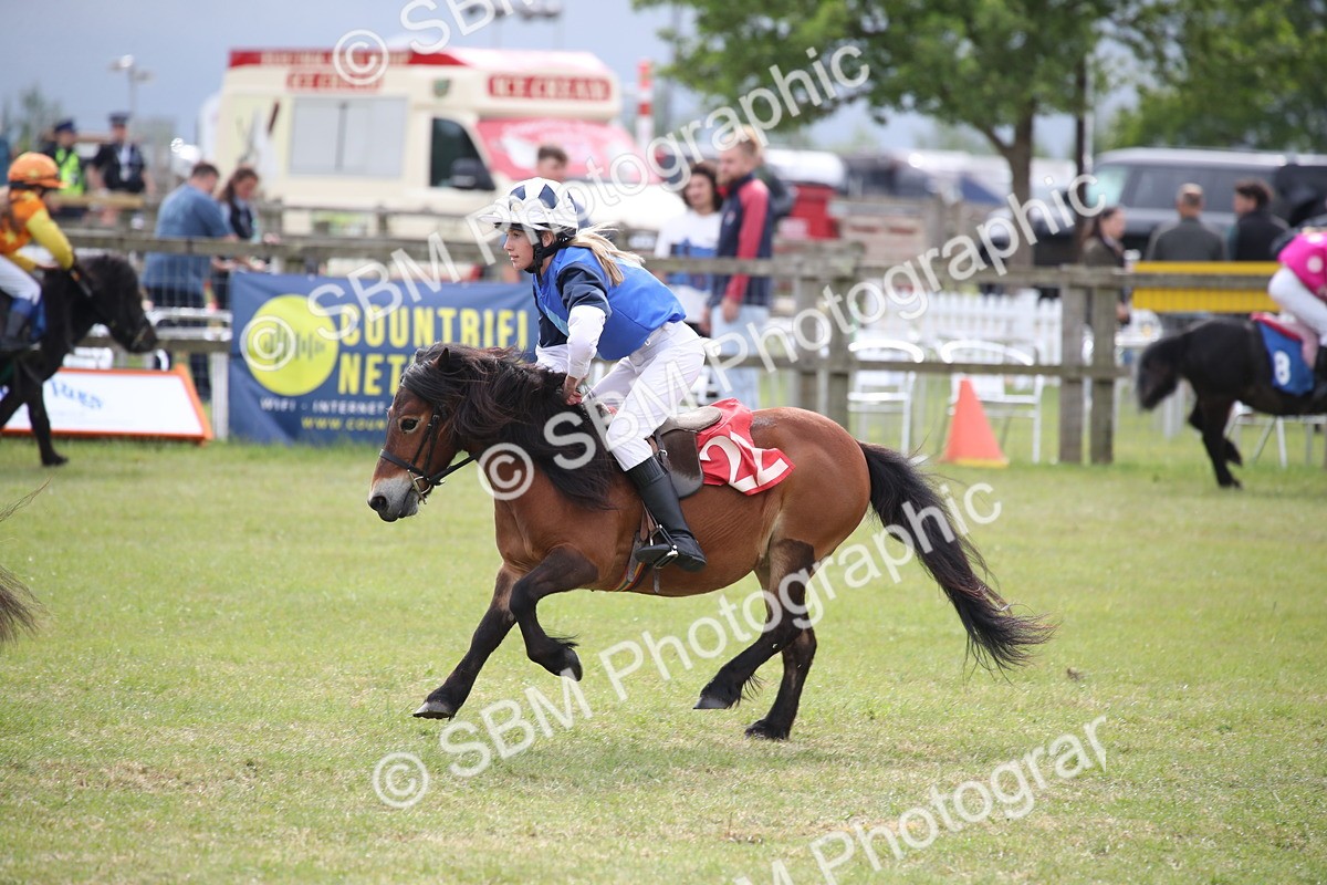 SBM_10200 - Dinky Derby