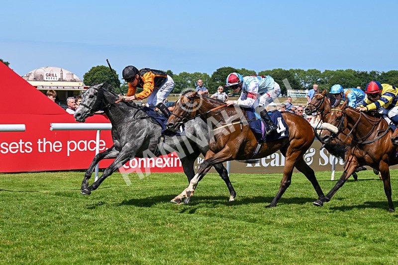 250624-Race 3-Island Native-5426 - Race 3