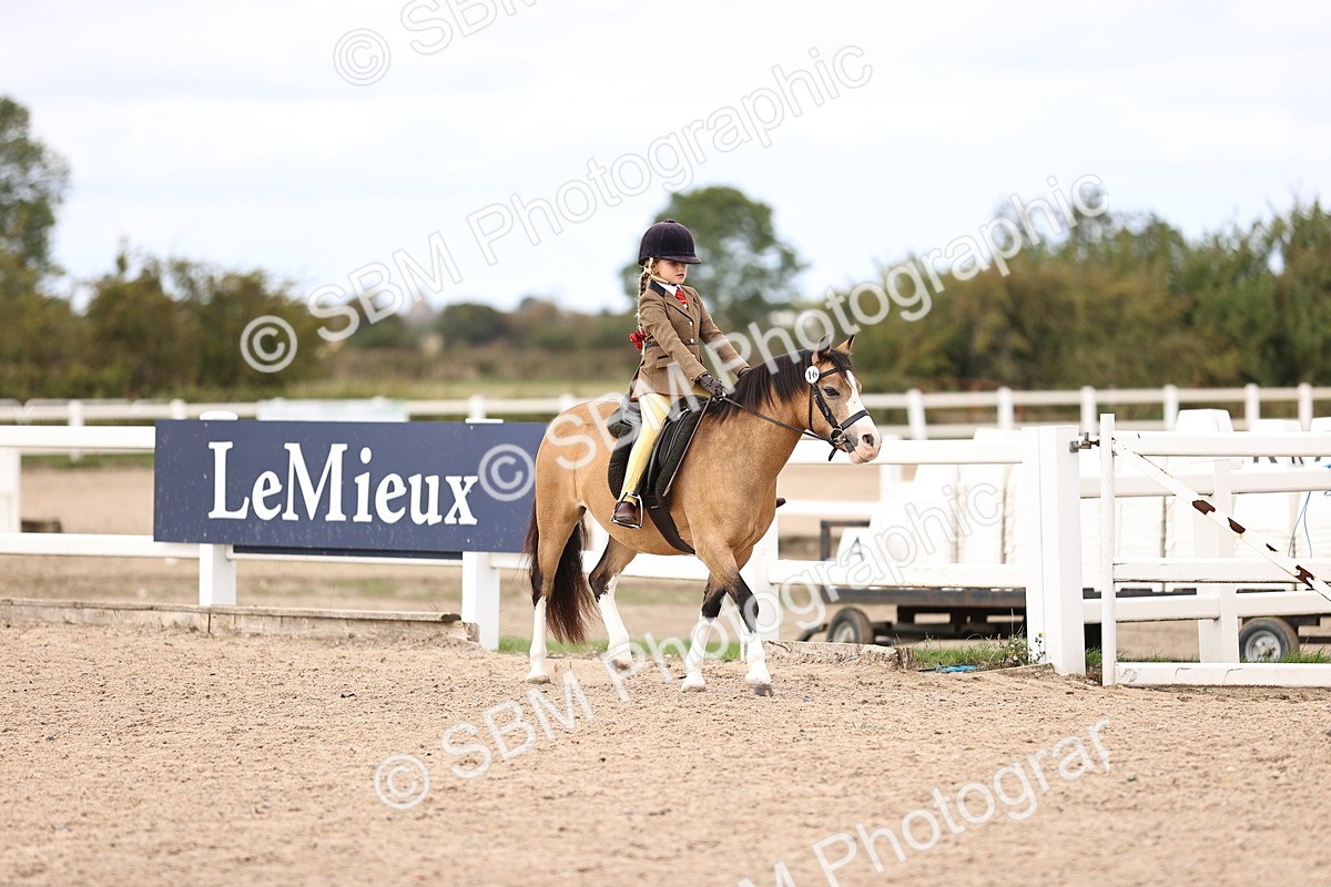SBM_15933 - Class 416 - Prettiest Mare (IH or Ridden) Jnr