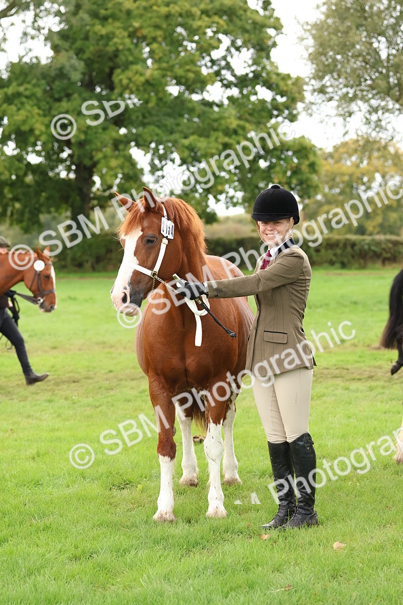 SBM_39503 - S24 - Young Veteran In Hand