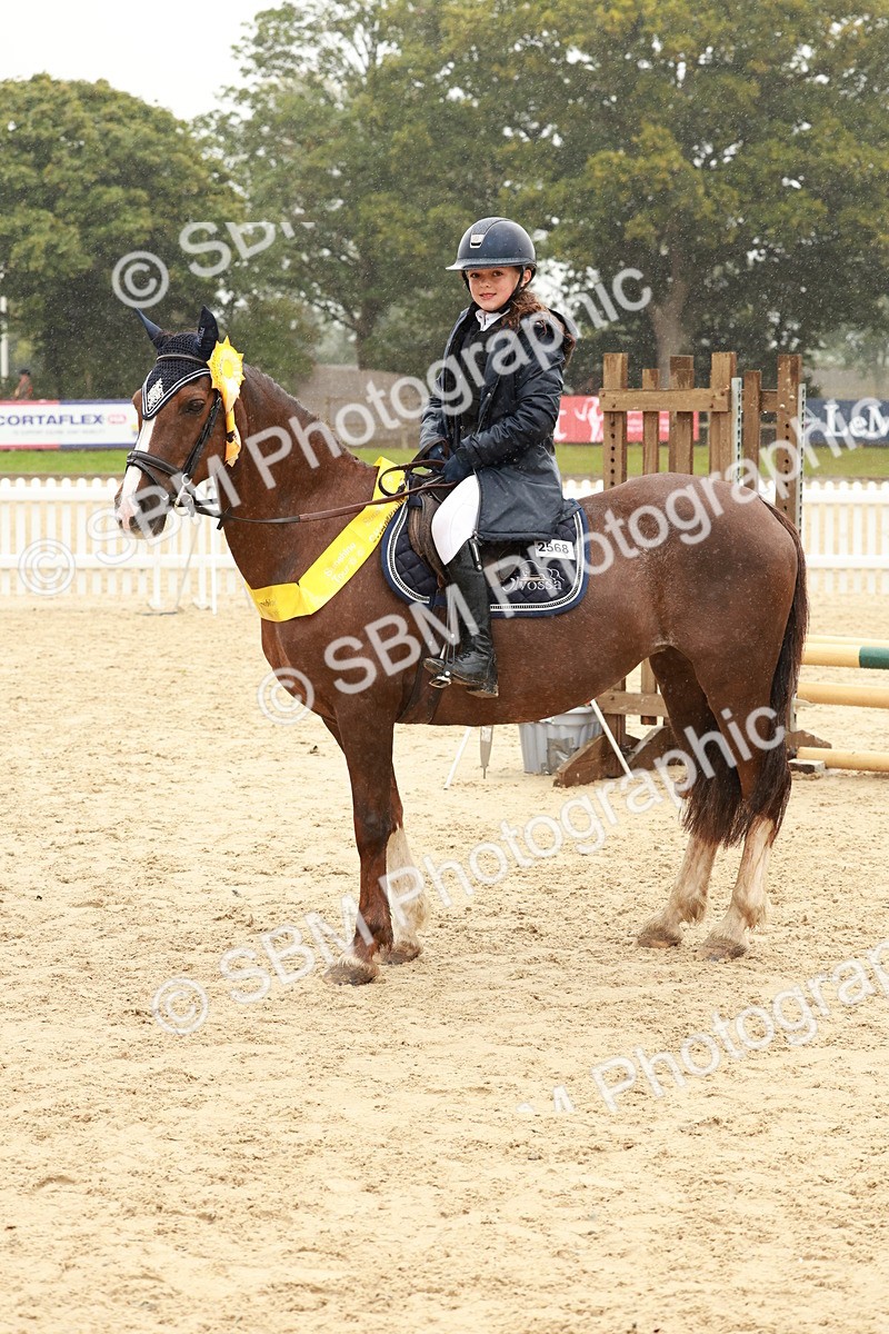 SBM_72233 - J14 - Junior Pony 65cm Championship