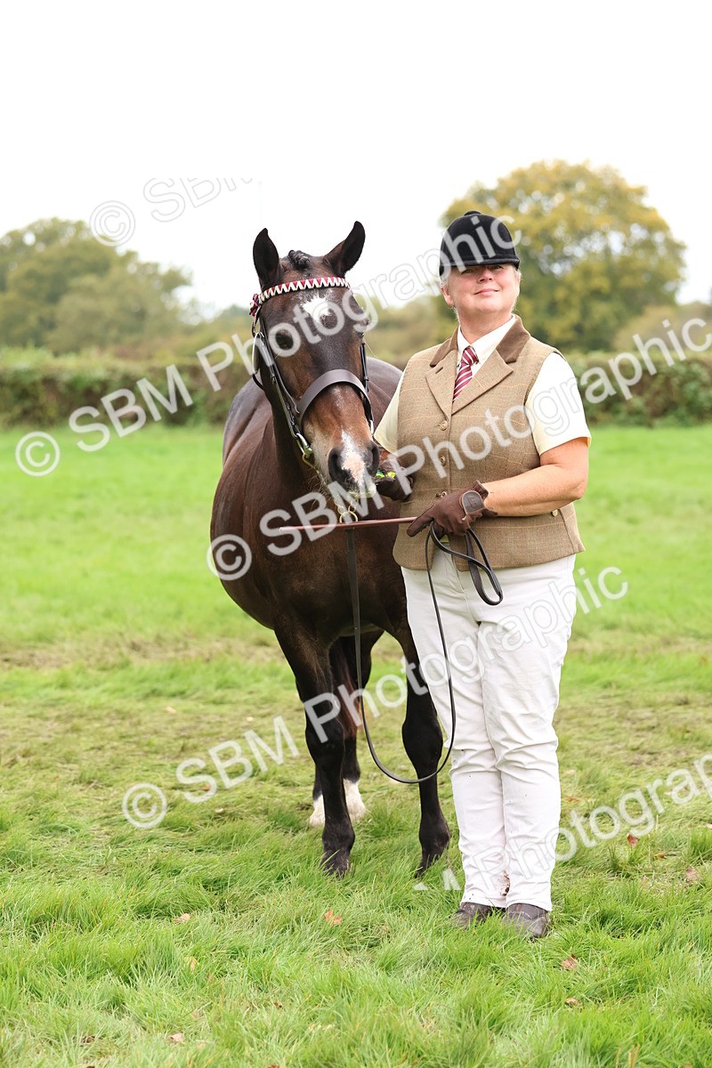 SBM_41741 - S26 - Mature Veteran In Hand
