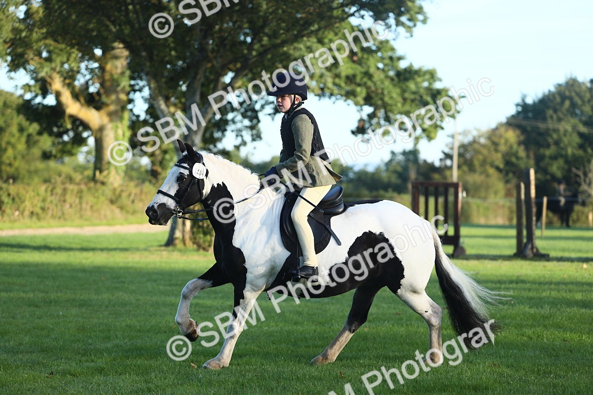 SBM_37152 - S29 - Novice & Newcomers Working Hunter Pony