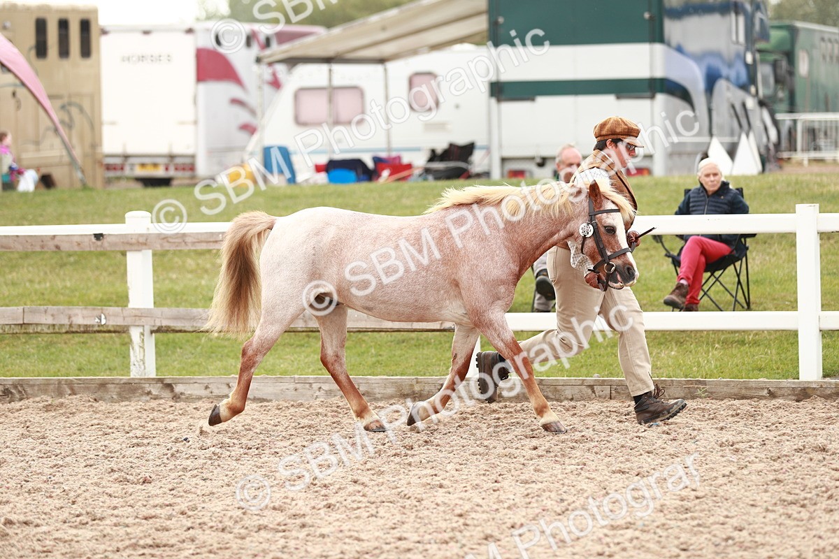 SBM_12446 - Class 207 IH M&M