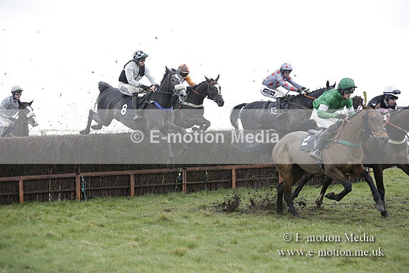 PtP 150320 0486 - New Forest Point-to-Point Larkhill 15/03/20