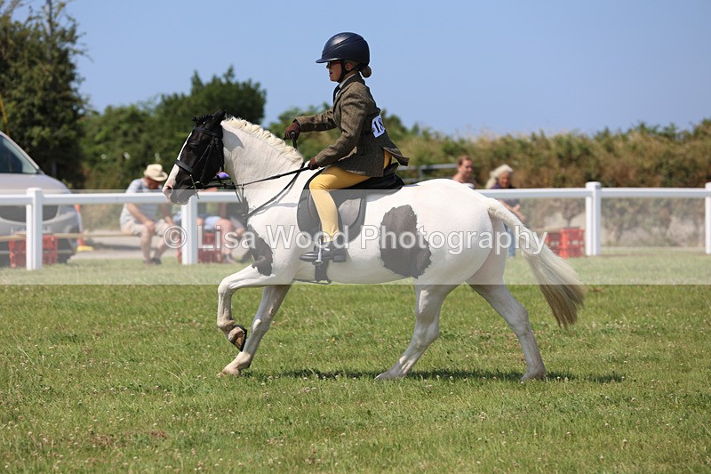 JPP_3093 - Class 22: Working Hunter 70cm