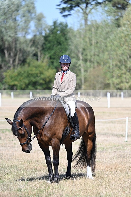 WJ7_4119 - Class 9 Mountain & Moorland Ridden