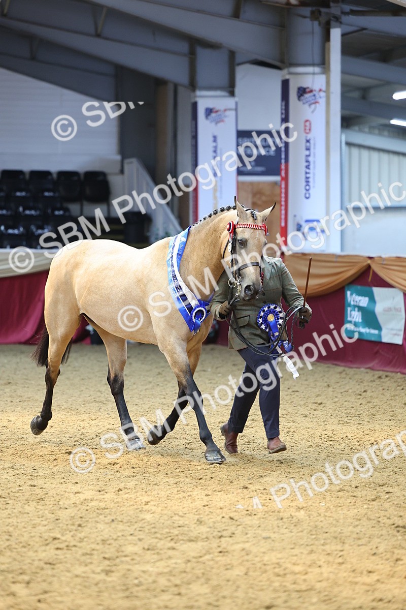 SBM_23265 - Supreme Final - IH Champion