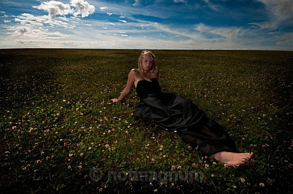 field of clover - YOUR OWN PHOTOSHOOT