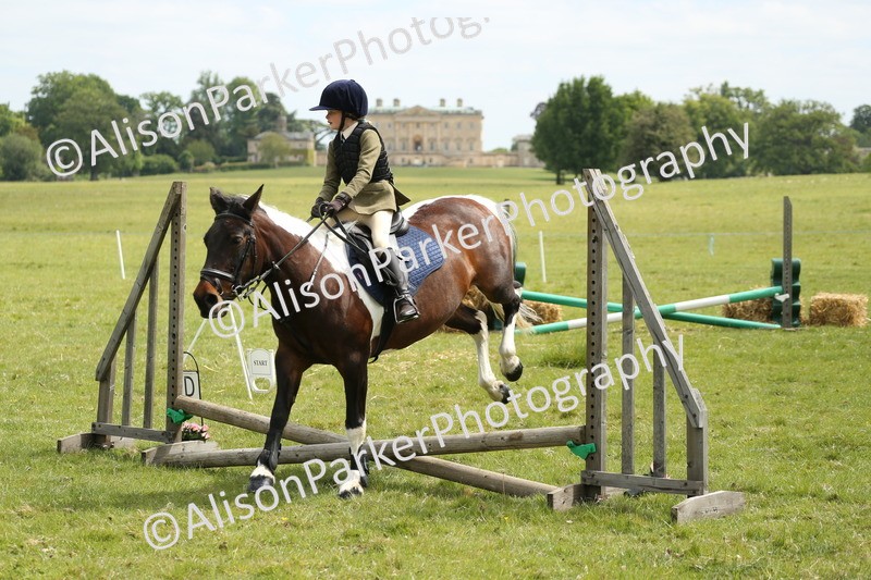 20250517-2951 - Class 25 - Horse & Hound