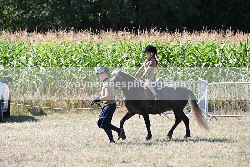 WJ6_7967 - Class 36 Lead Rein