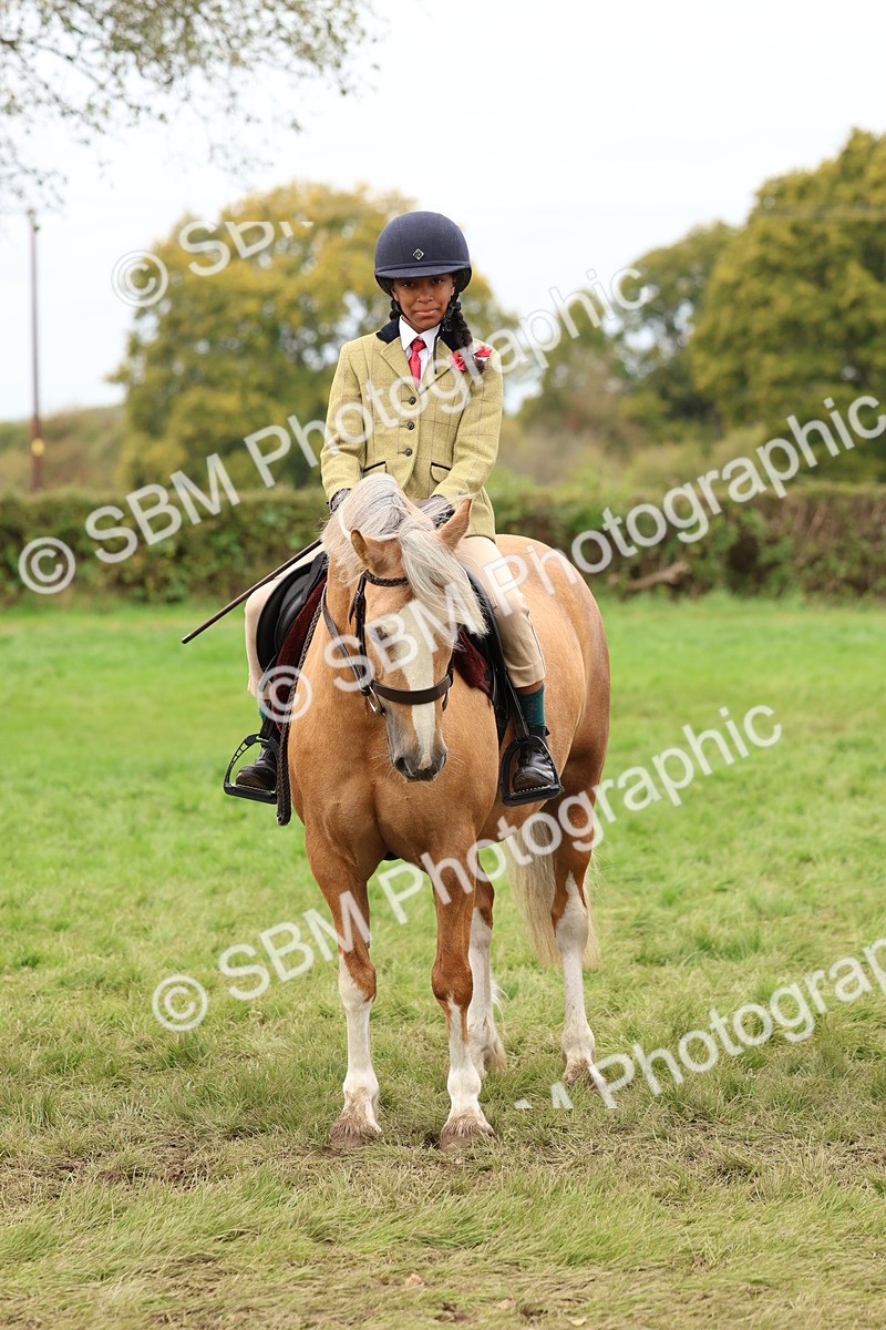 SBM_64462 - S58 - Coloured Pony Ridden