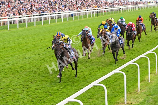 240824-Race 2-Tabletalk-1314 - Race 2 2.25pm Sky Bet Melrose Handicap
