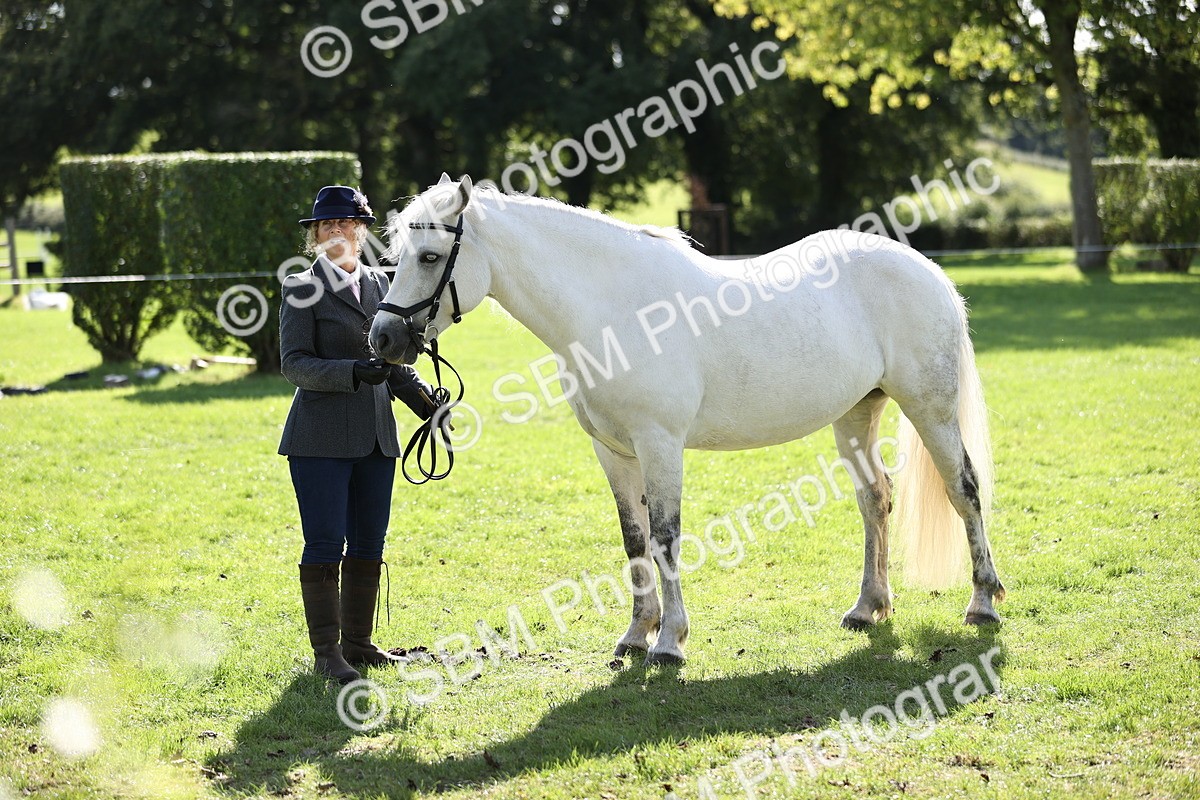SBM_26212 - S5 - Novice & Newcomers In Hand