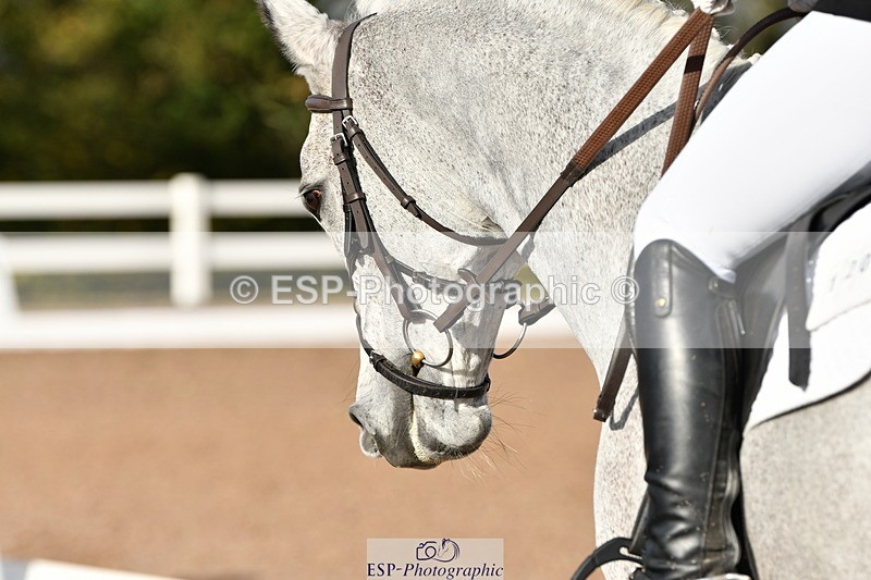 231104A-105056-00158 - Cls 4 Novice 22