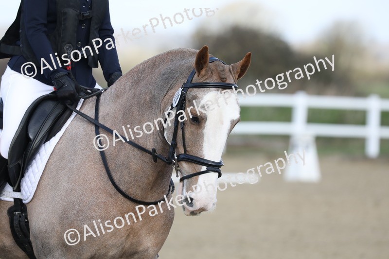 20260314-0324 - DR1 - Intro 1