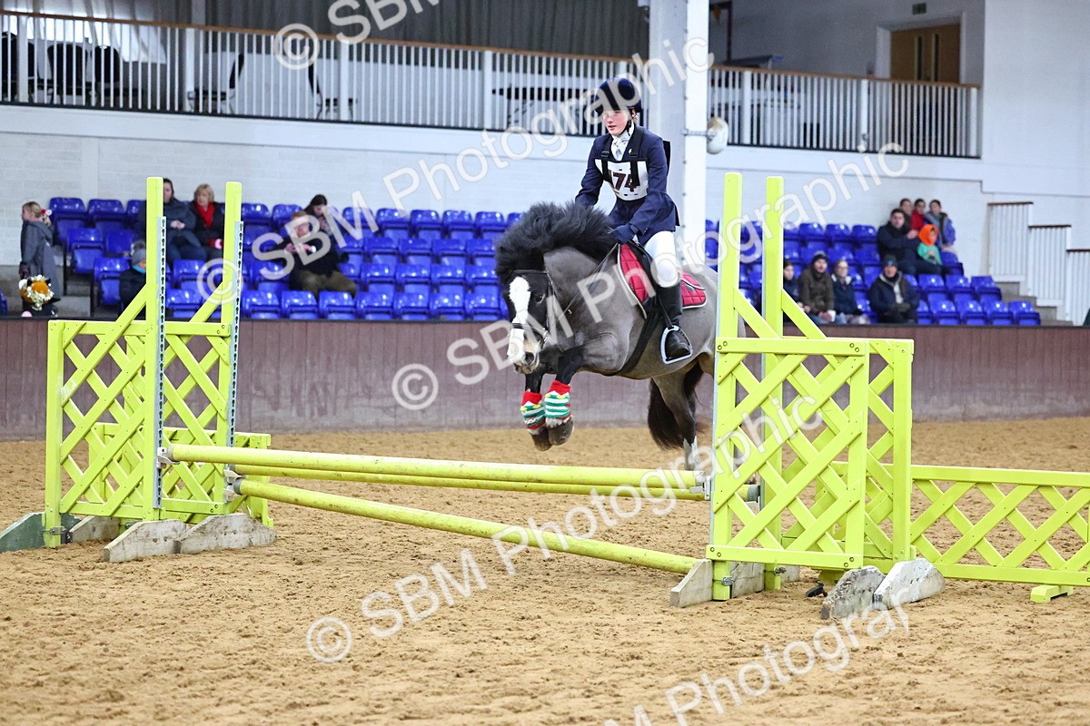 SBM_001258 - Class 3 - Christmas Tree Stakes - 60cm