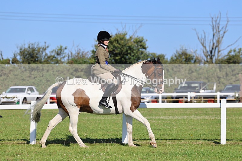 IMG_1356 - Class 27: Ridden Plaited Coloured Horse