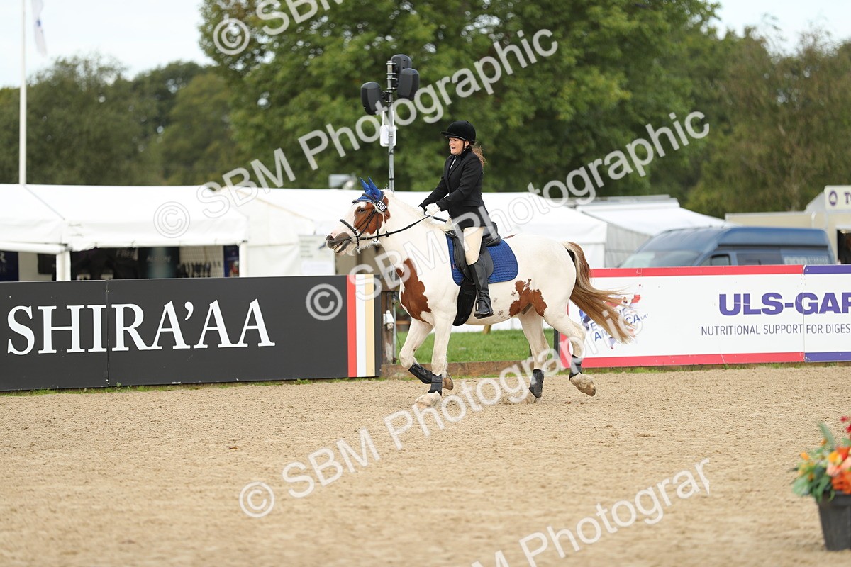 SBM_02027 - J34 - Veteran Rider 50cm