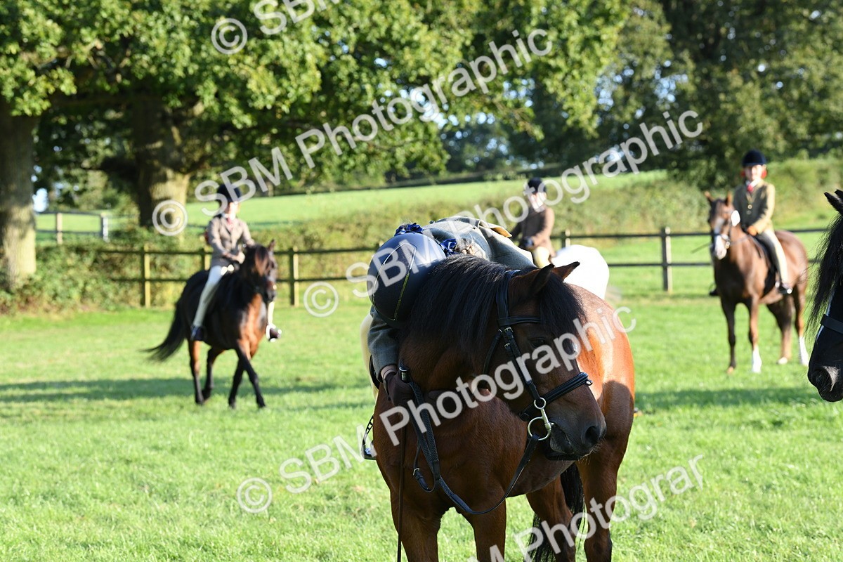 SBM_54154 - S23 - 1st Ridden Mountain & Moorland Pony