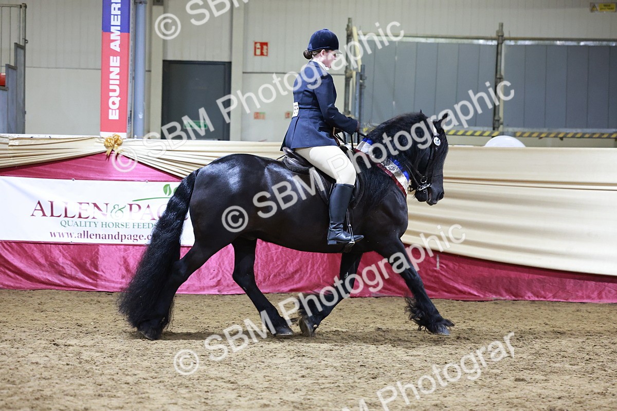 SBM_20922 - Class M - Equitation Champ