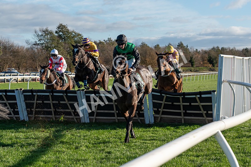 241123-Race 2-Latin Verse-7069 - Race 2