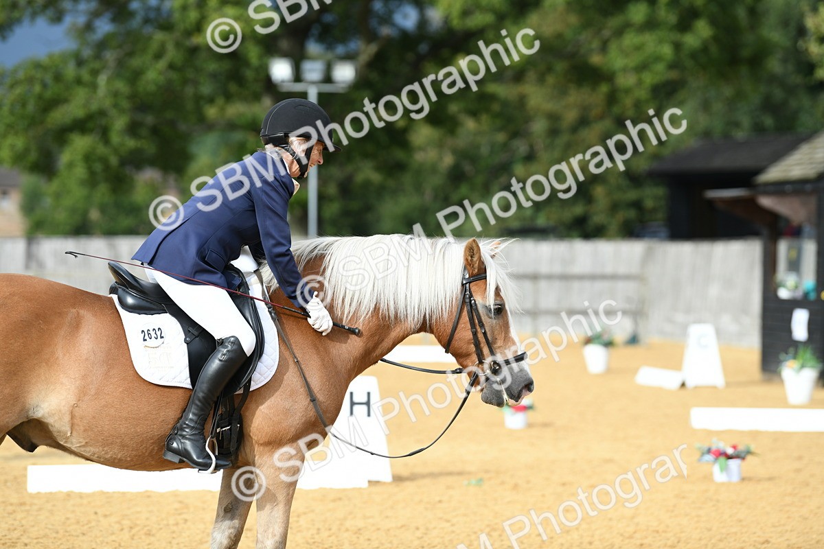 SBM_10938 - D28 Elementary Taster Elementary 42