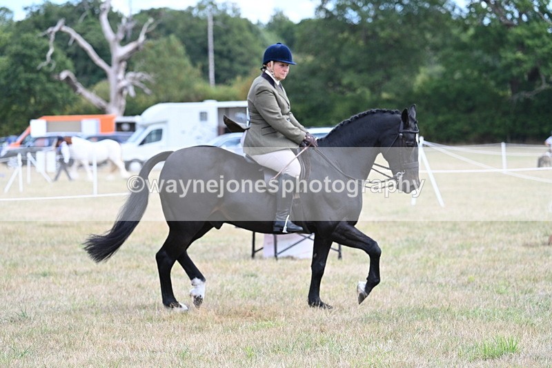 WJ7_5984 - Class 13 Ridden Veterans