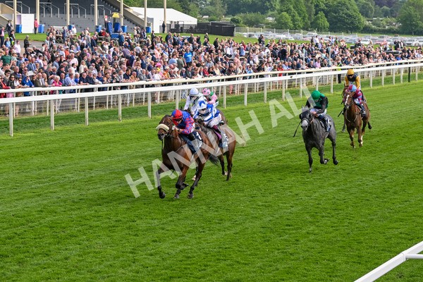 160524-Race 5-Big Evs-6316 - Race 5 4.15pm  British Stallion Studs EBF Westow Stakes