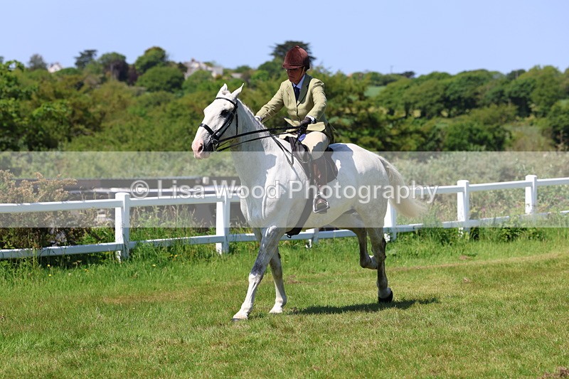 3E7A8413 - Class 13: Ridden Hunter