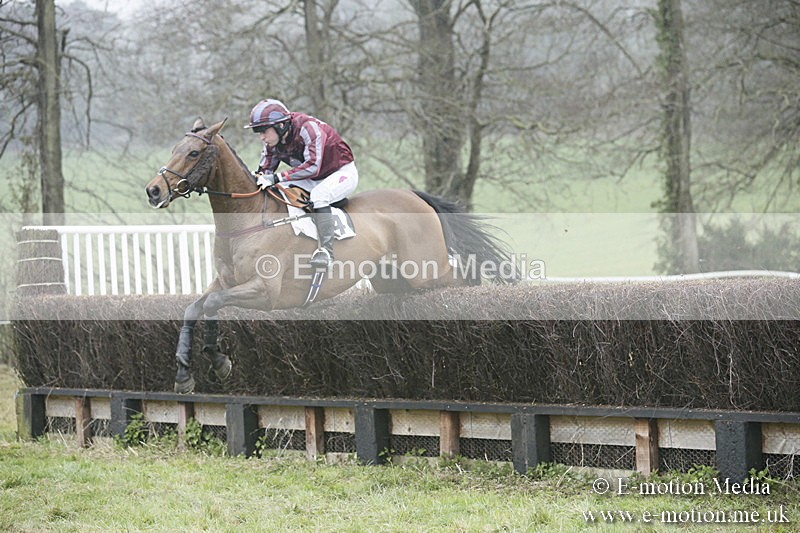PtP 020418 -311 - Old Berks Point-to-Point Races Easter Monday 02/04/18