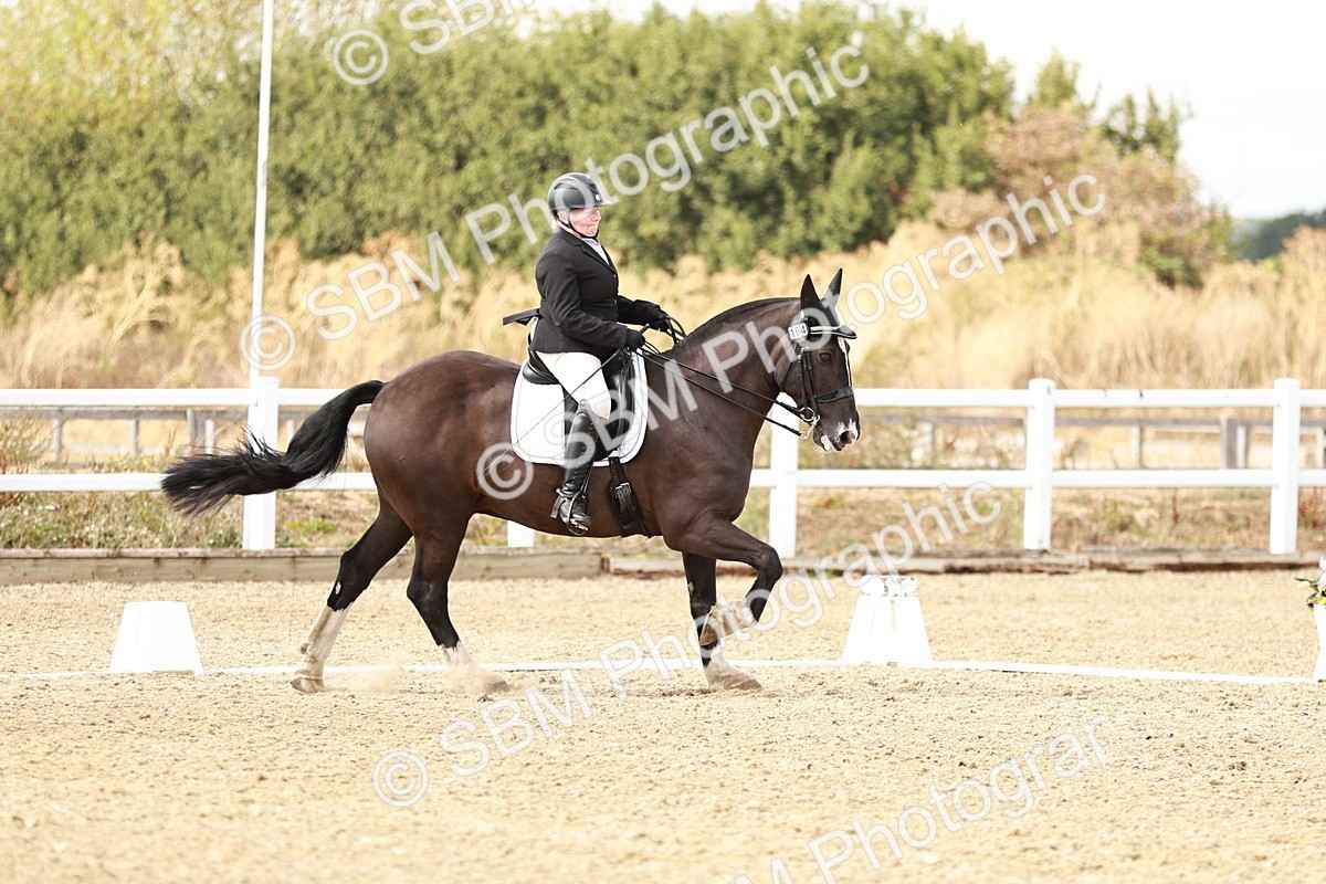 SBM_010909