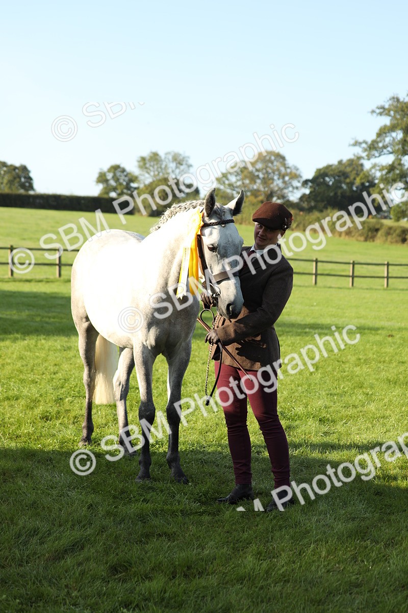 SBM_57988 - S42 - Youngstock