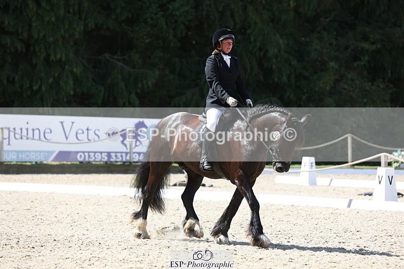 230811-120811-01004 - Cls 1 Prelim Bronze 11.10 to 12.35 break