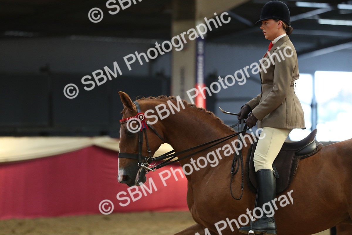 SBM_08340 - Class 11R Regional Ridden Veteran