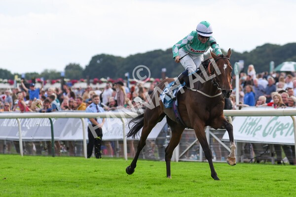 yr04092022r6-40 - Race 6 4.40pm Hanson Springs Stakes