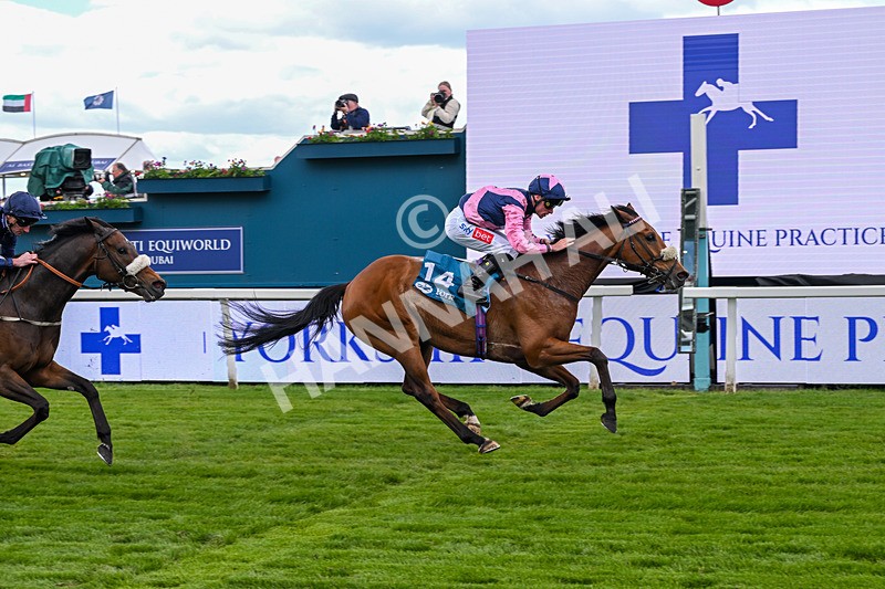 150526-Race 1-Zarathos-6926 - Race 1 1.45pm Yorkshire Equine Practice Handicap