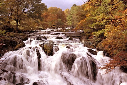 Swallow Falls in autumn 9 - Sceniks.com - Snowdonia landscape photographs by Dave O'Shea
