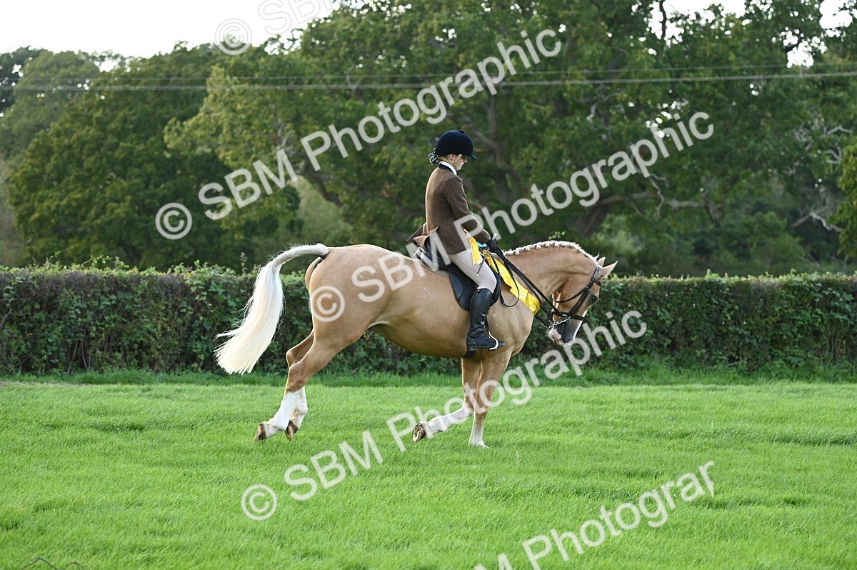SBM_26508 - S6 - Novice & newcomer Ridden horse