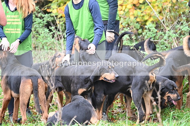 WJ6_8589 - Meet