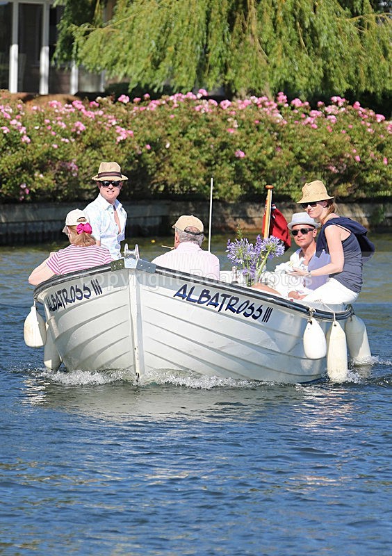 140703 ALBATROSS WT7A9146 - HENLEY ROYAL REGATTA - THURSDAY 3RD July 2014