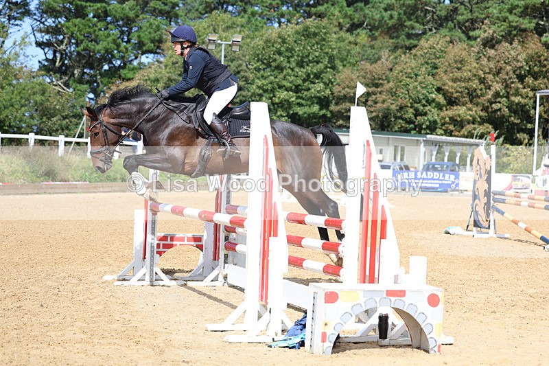 3E7A9178 - Class 9: Senior British Novice/90cm open