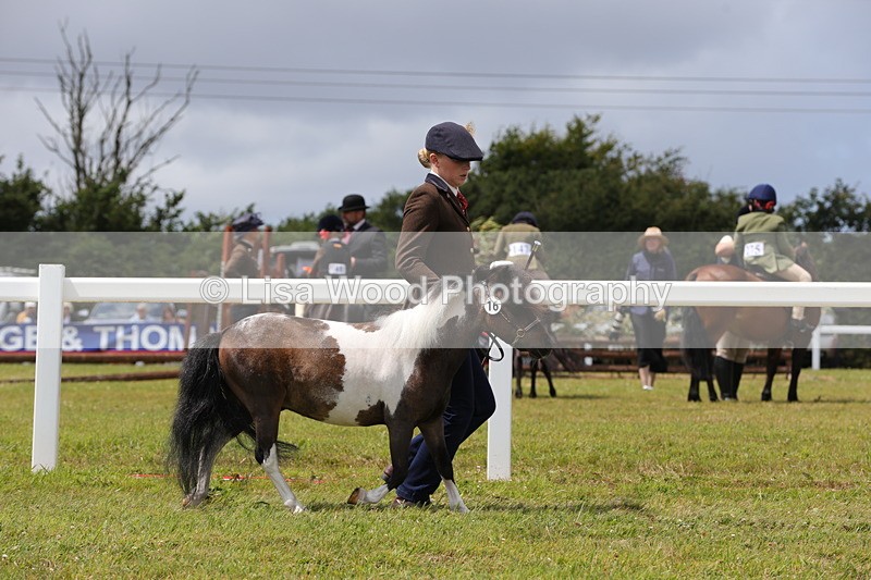 1X9A4780 - Class 35: Veteran In Hand