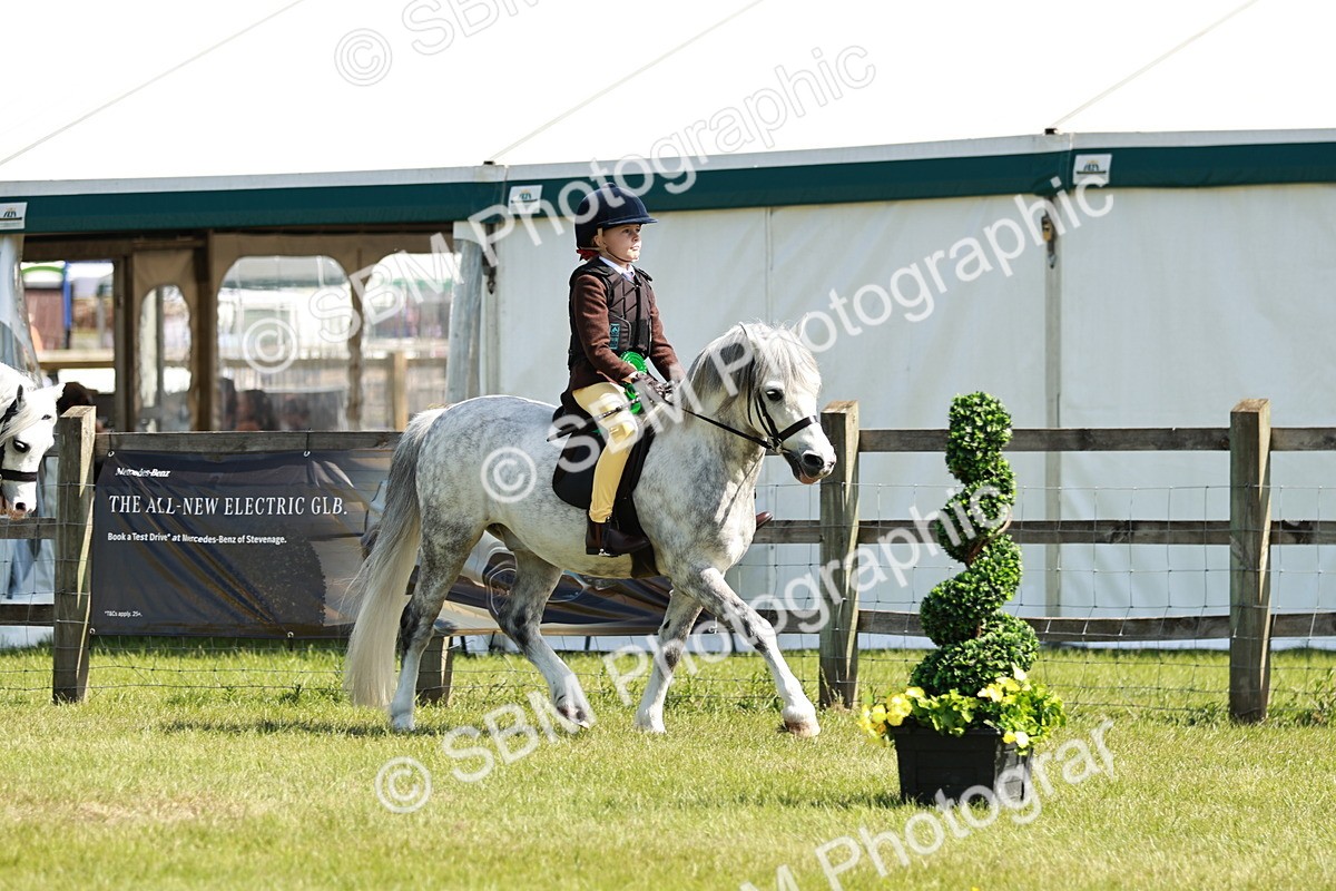 SBM_12848 - Class 106-107 - BSPS LIHS Working Sports Pony